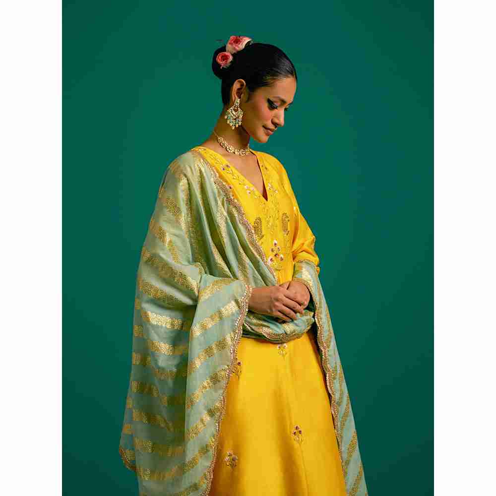 Anantaa By Roohi Trehan Yellow V Neck Hand Embroidered Thread Work Silk Chanderi Kurta