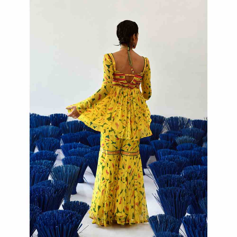 Baise Gaba Yellow Printed Ora Top and Gharara (Set of 2)