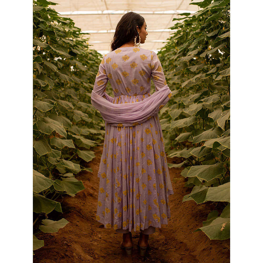 Baise Gaba Lavender Lavender Beauty Anarkali