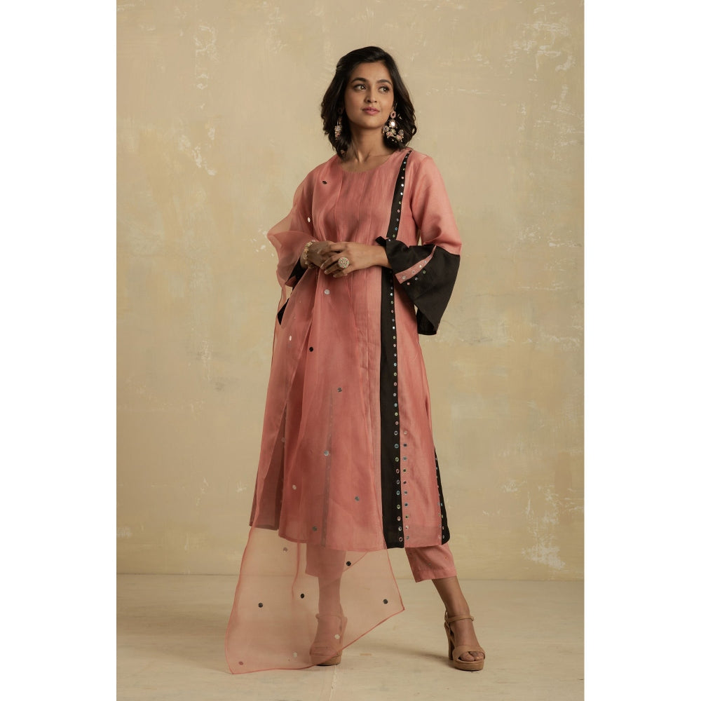 Charkhee Dusky Pink Panelled Kurta With Pant & Organza Dupatta - (Set of 3)