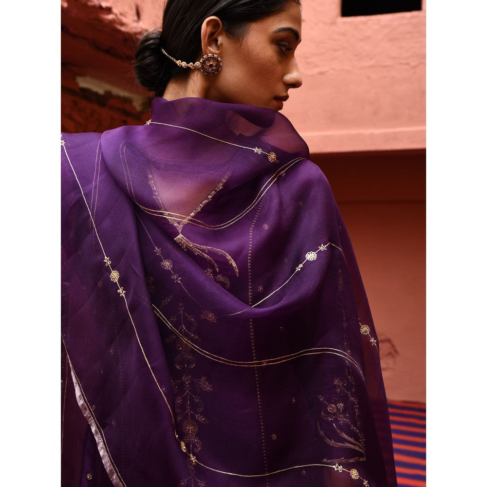 DEEPTHEE Aubergine Panelled Straight Kurta (Set of 3)