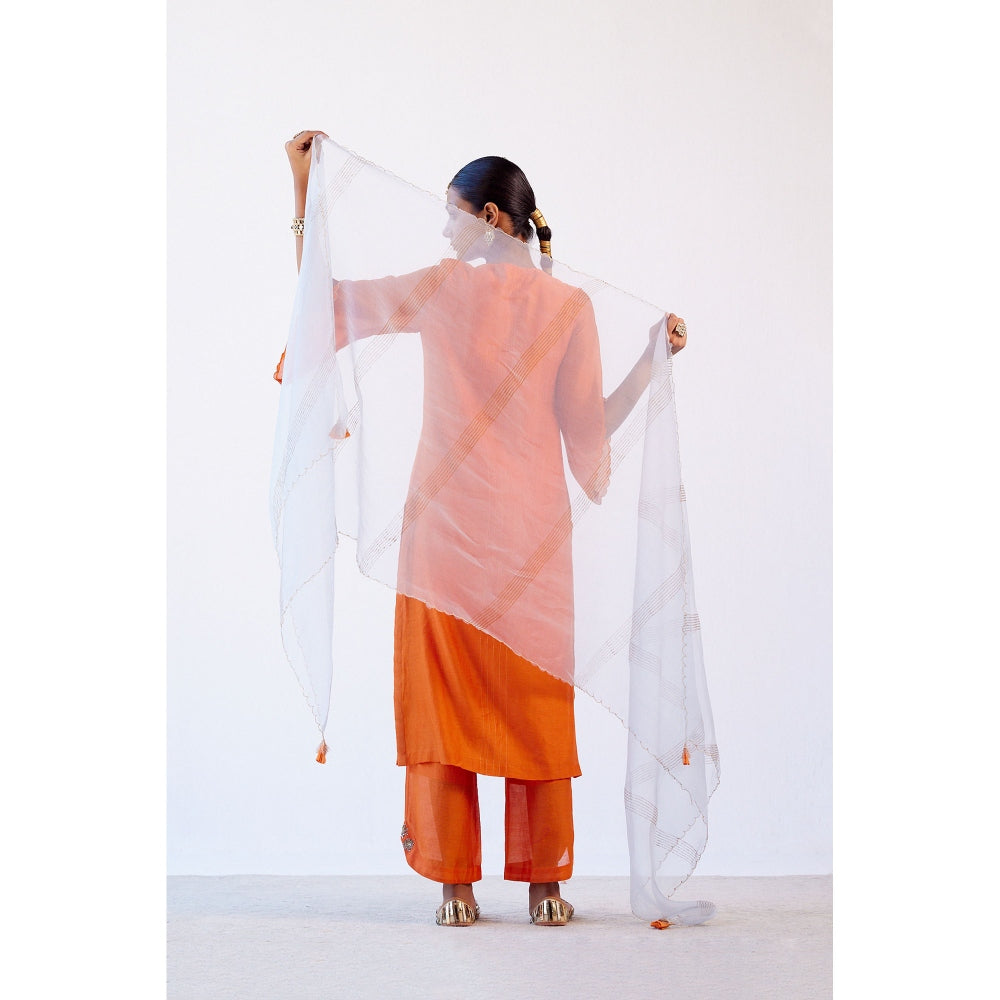 Devnaagri Orange Hand Embroidered Kurta and Palazzo with Dupatta (Set of 3)