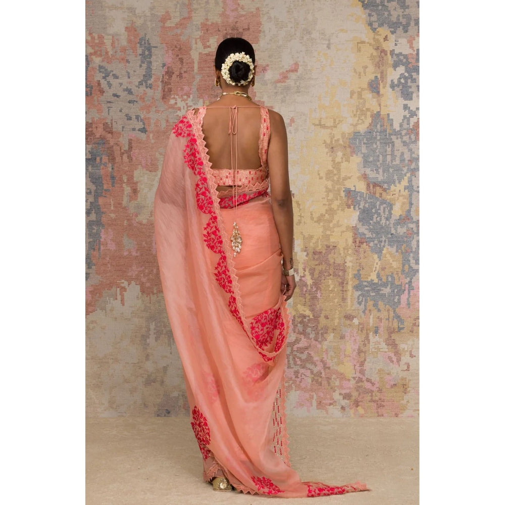 Devnaagri Blush Silk Organza Saree with Stitched Blouse (Set of 2)
