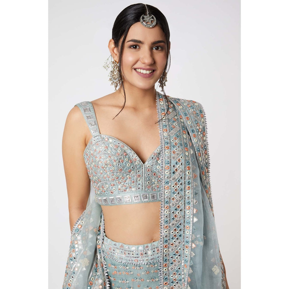 Gopi Vaid Noor Lehenga with Bustier (Set of 3)