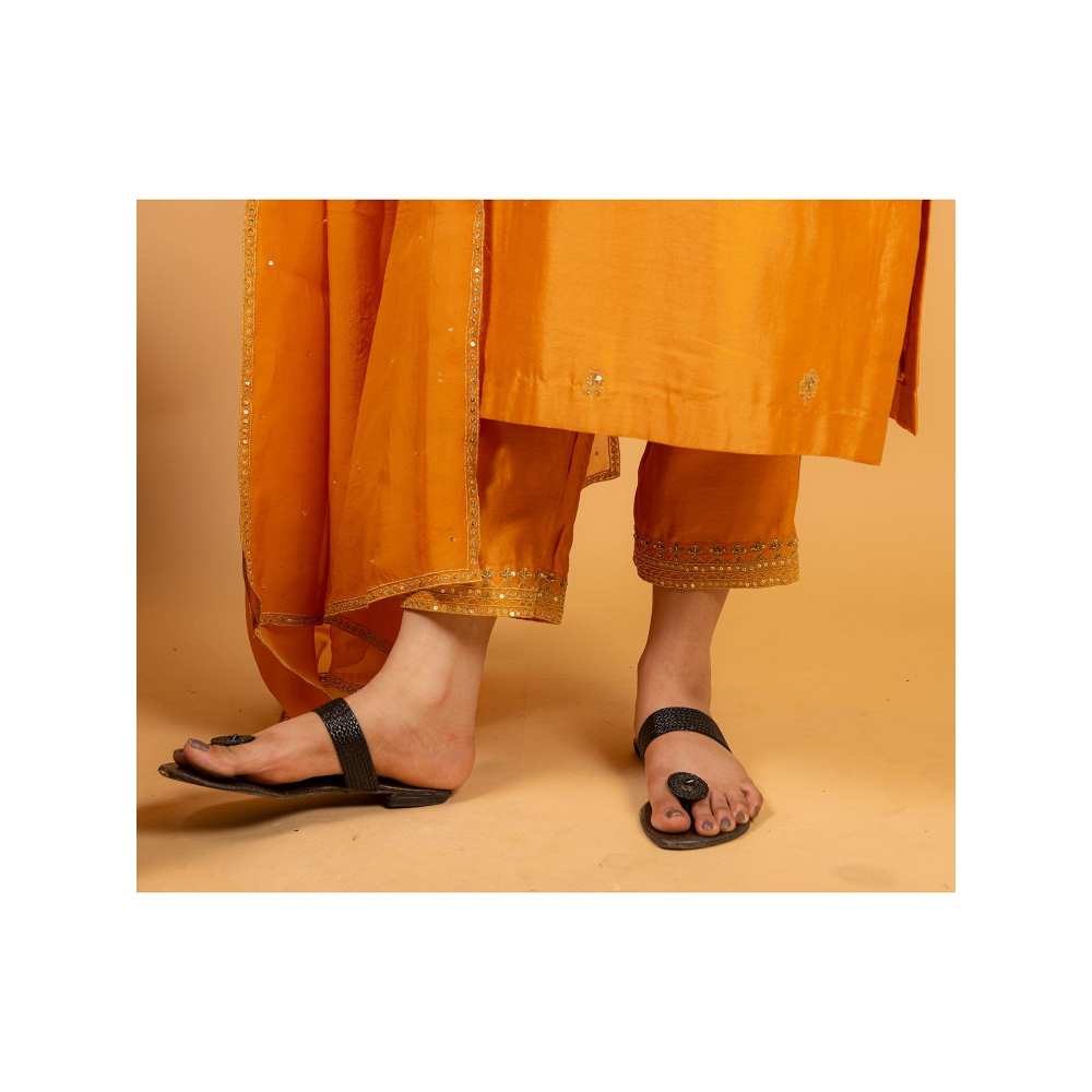 Ikshita Choudhary Orange Kurta (Set of 3)