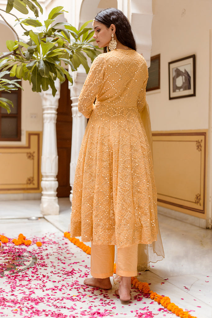 Damini Yellow Anarkali Set