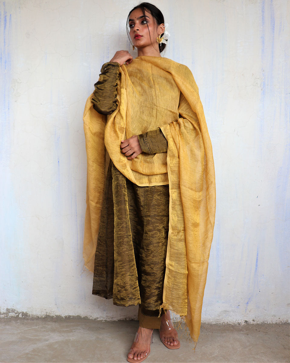 Chidiyaa Yellow Handwoven Dupatta Roshni