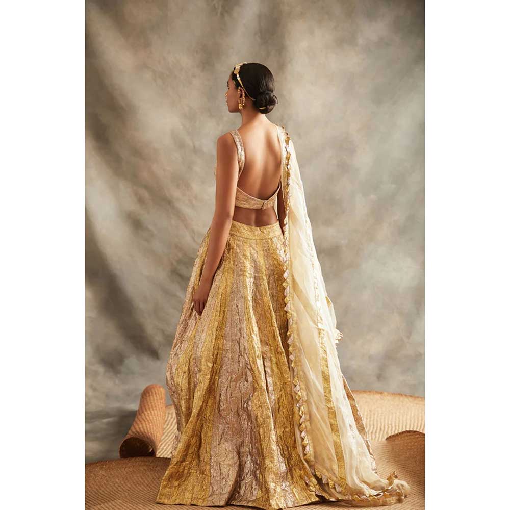 ITRH Chandi Sona Lehenga (Set of 3)