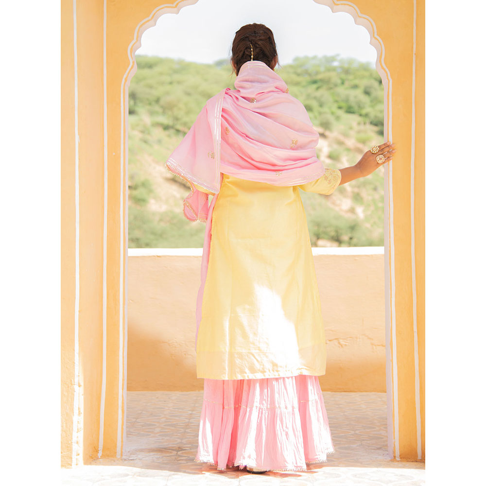 Maison Shefali Noor Haldi Gulaab Sharara (Set of 3)