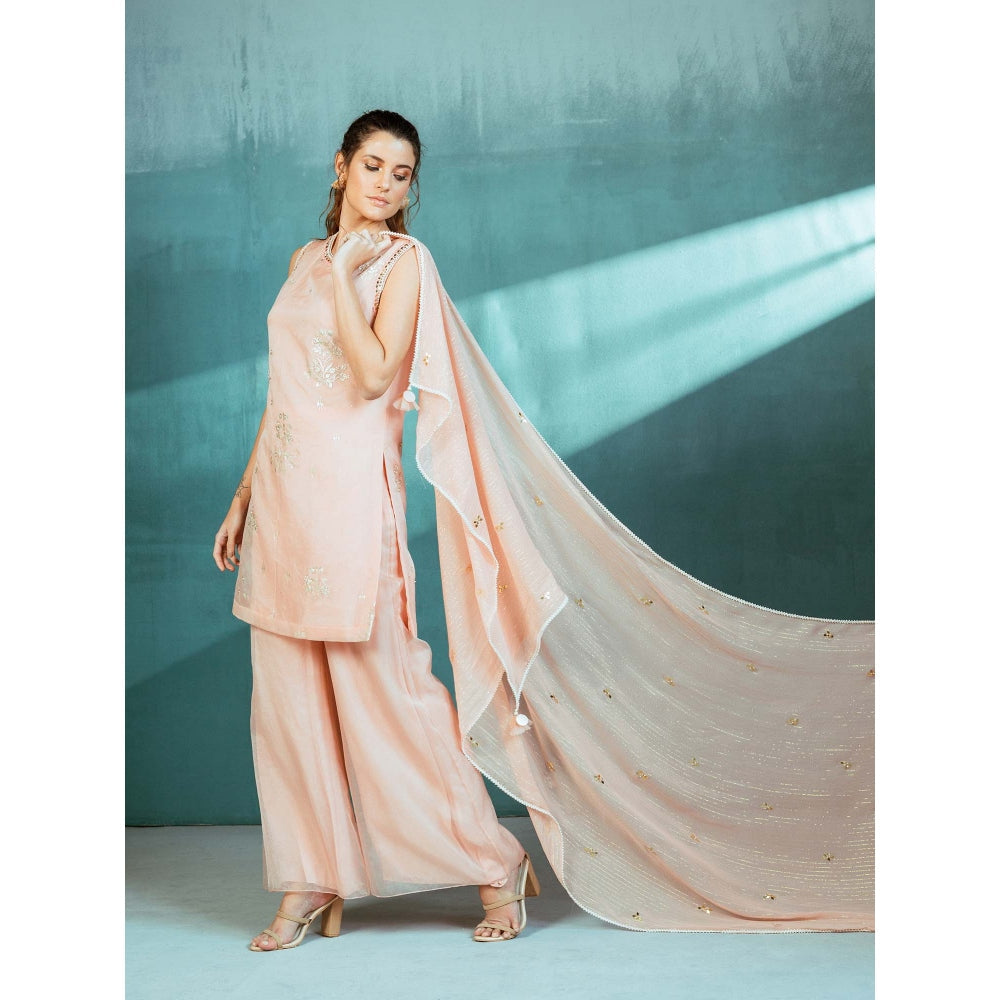 MANDIRA WIRK Salmon Pink Organza Foil Printed and Embroidered Palazzo (Set of 3)