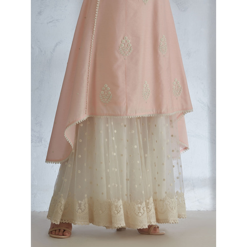 Mandira Wirk Peach Embroidered Kurta With Sharara And Scarf (Set of 3)