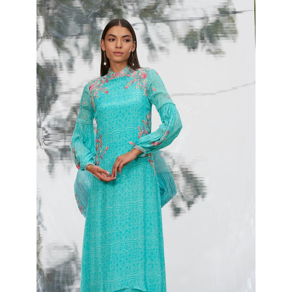 Mandira Wirk Embroidered Printed Assymetrical Dress