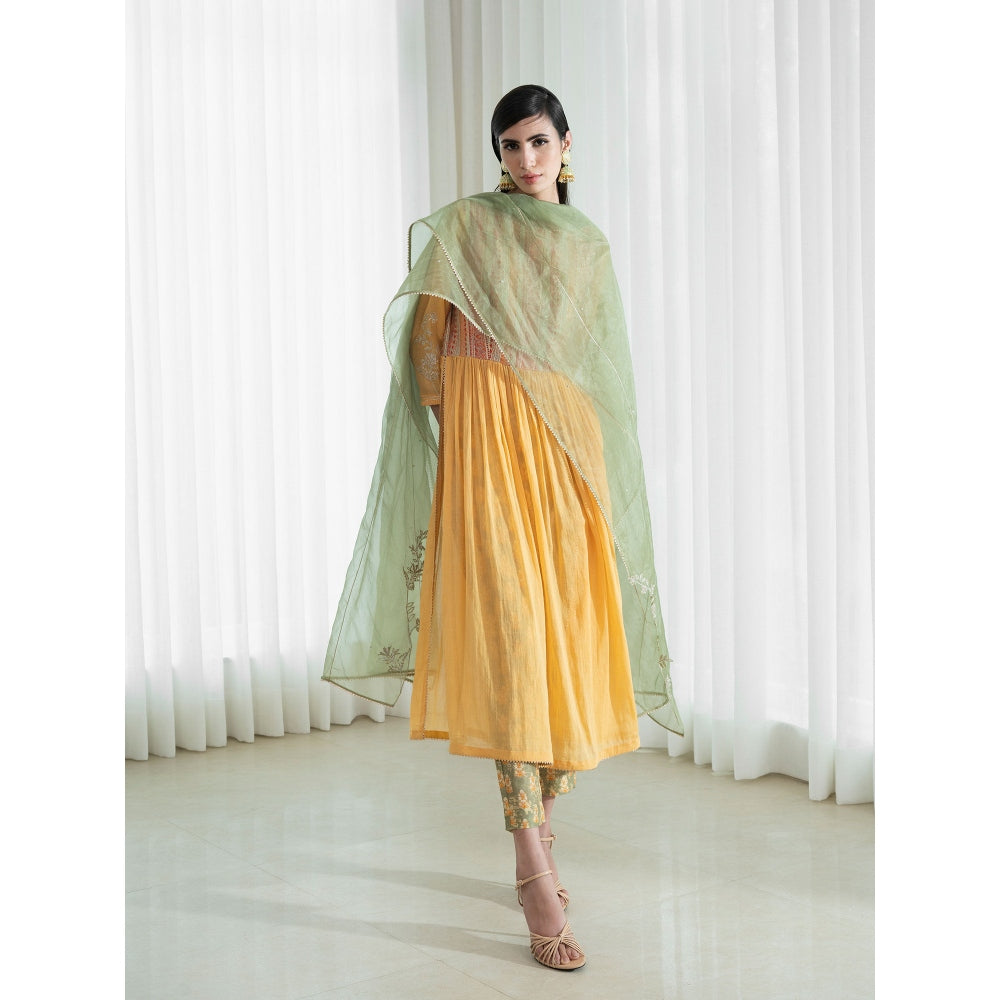 Mandira Wirk Multi-Colour Kurta (Set of 3)