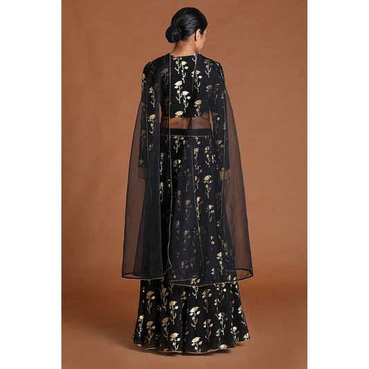 Masaba Shooting Star Lehenga (Set of 3)