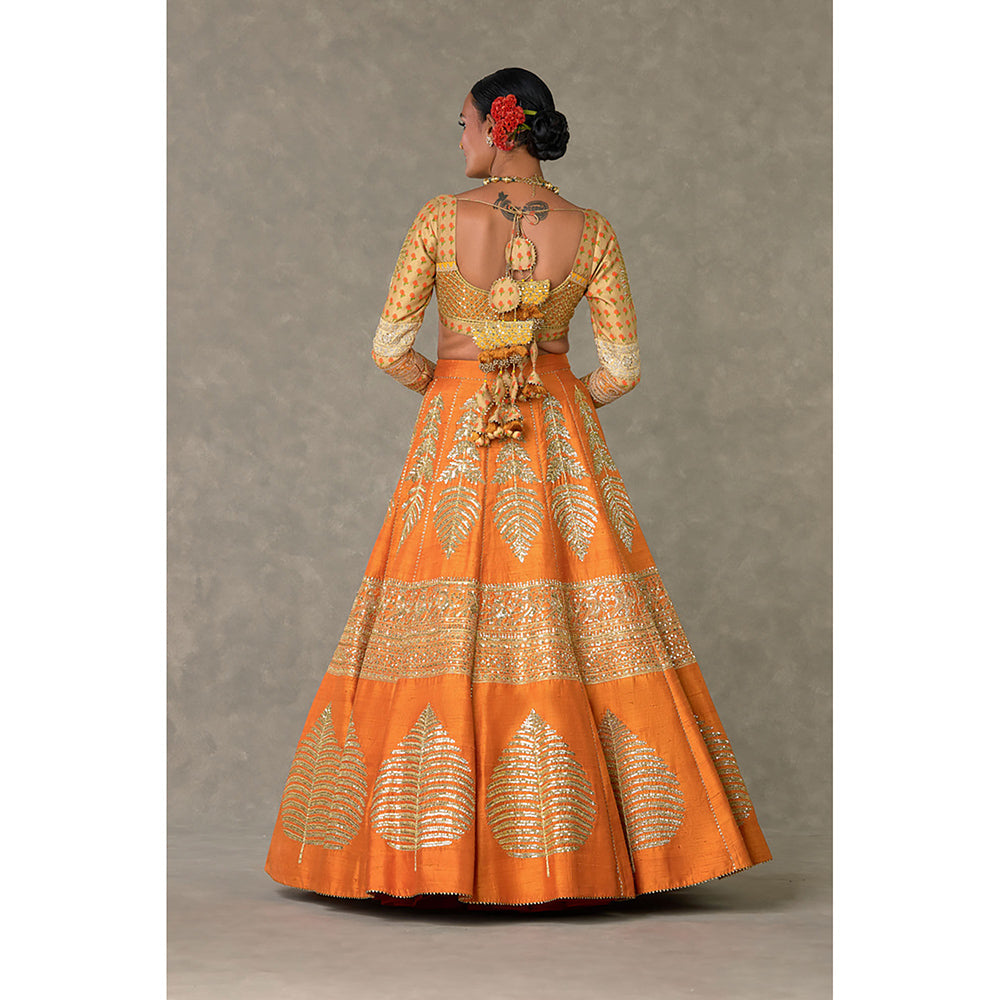 Masaba Rust Paan-Patti Lehenga Choli with Dupatta & Can Can Skirt (Set of 4)