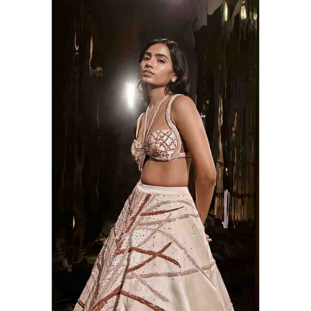 Masumi Mewawalla Light Nude Embroidered Lehenga Blouse (Set of 3)