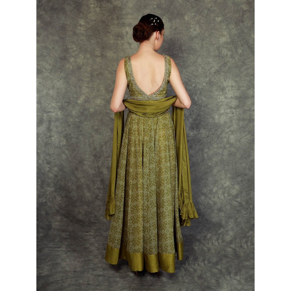 Neha Khullar Printed Lehenga - Green (Set of 3)