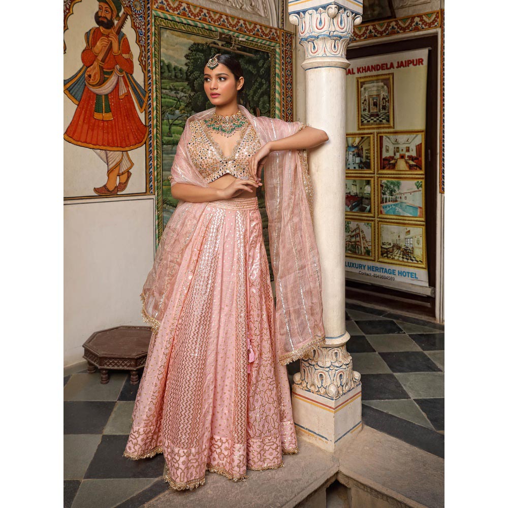 Neha Khullar Banarasi Chanderi Lehenga (Set of 3)