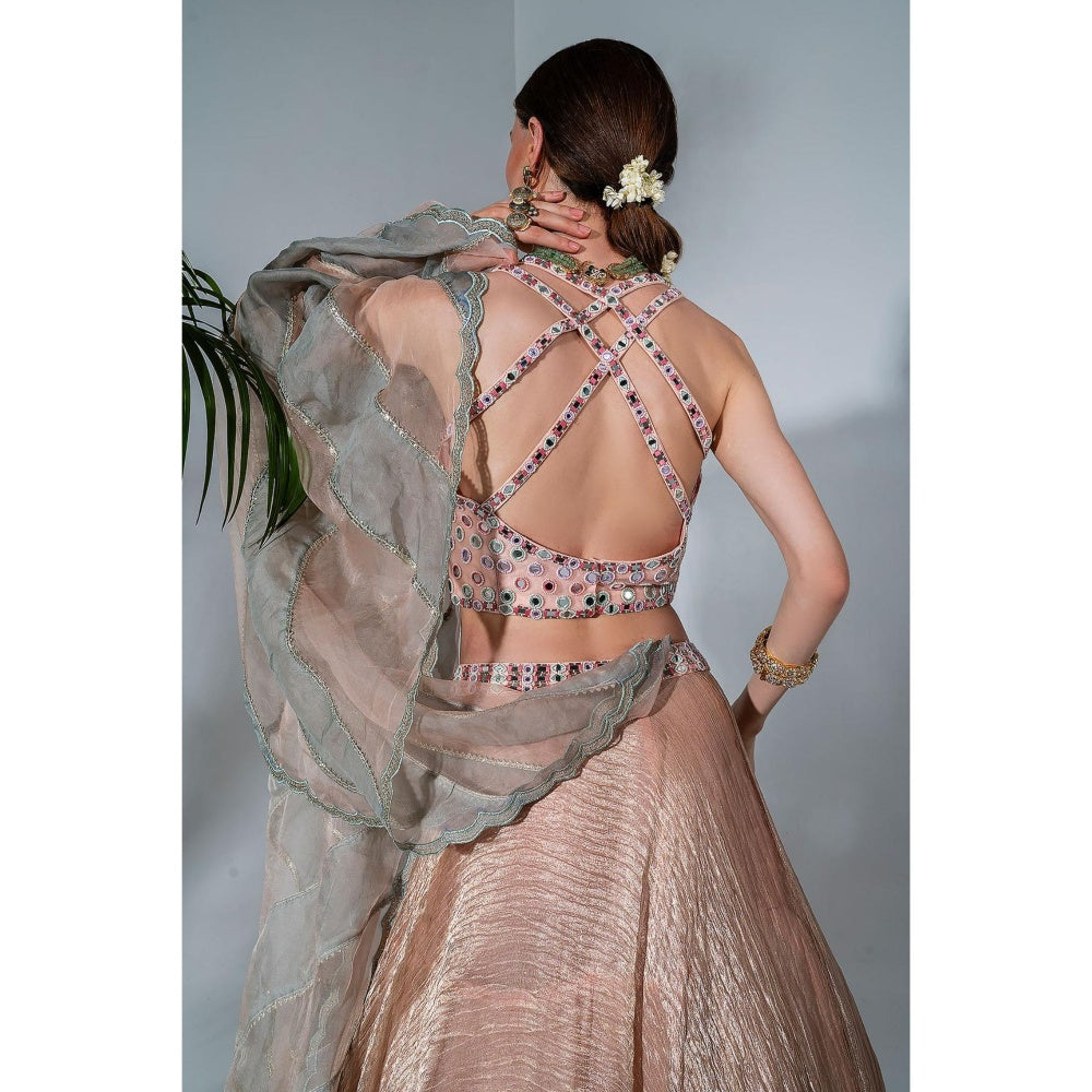 Neha Khullar Pink Tissue Chanderi Lehenga Blouse with Organza Dupatta (Set of 3)