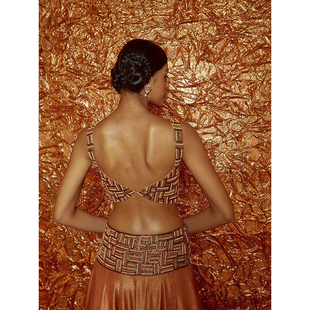 Nirmooha Tan Poth Embroidered Lehenga with Embroidered Blouse and Dupatta (Set of 3)