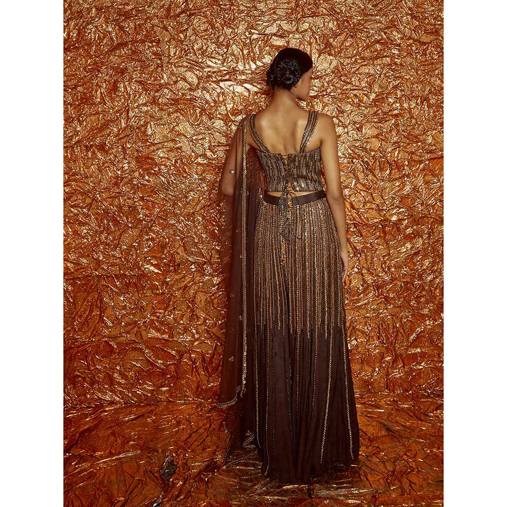 Nirmooha Brown Chiffon Sharara Set (Set of 3)