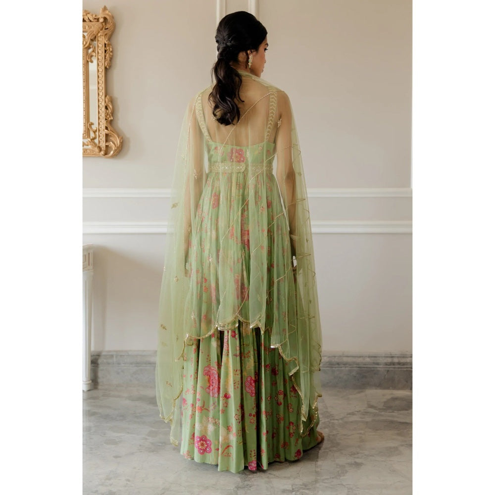 Paulmi Harsh Pista Green Bird Printed Anarkali (Set of 3)
