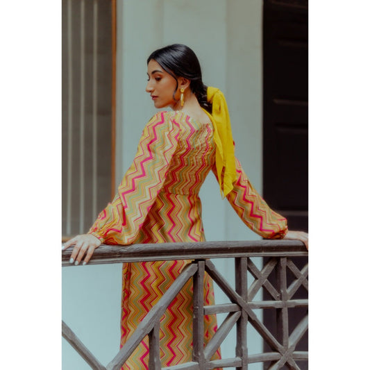 Paulmi & Harsh Zigzag Printed Fusion Maxi