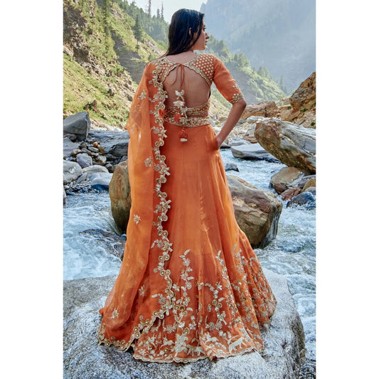 Paulmi & Harsh Sherbet Orange Dabka work Lehenga (Set of 3)