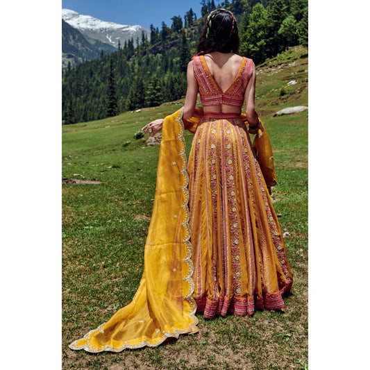Paulmi & Harsh Ochre Yellow Rose Border Lehenga (Set of 3)