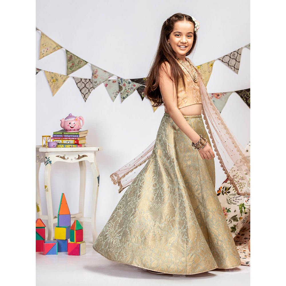 PS Kids By Payal Singhal Blush Brocade Choli with Lehenga And Dupatta (Set of 3)