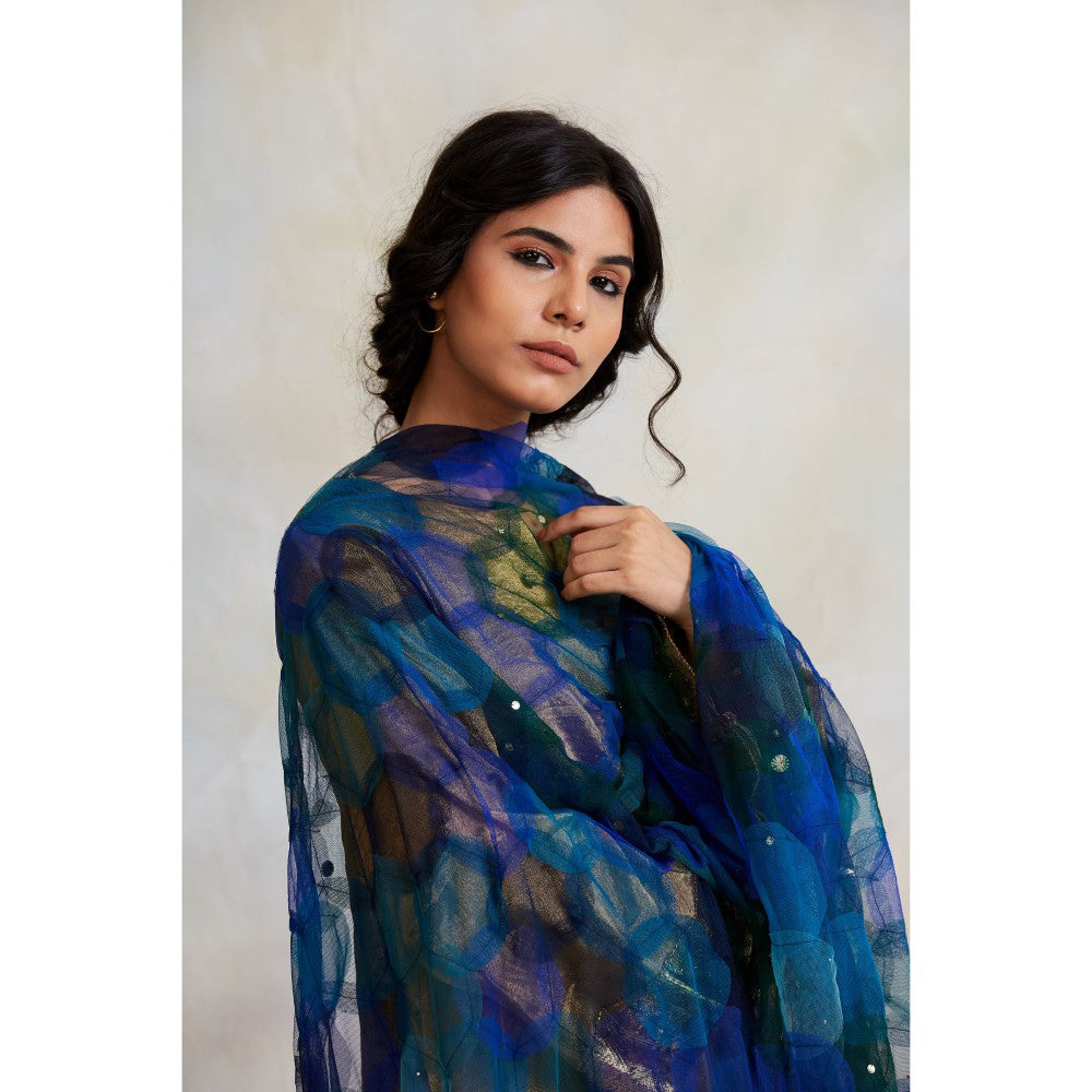 PRIYANKA RAAJIV Indivar Patchwork Blue Dupatta