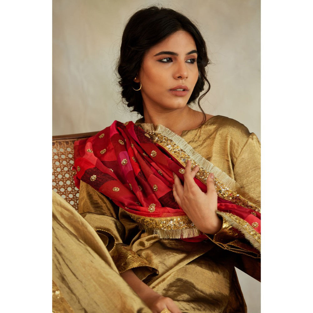 PRIYANKA RAAJIV Gulshan Patchwork Heritage Dupatta