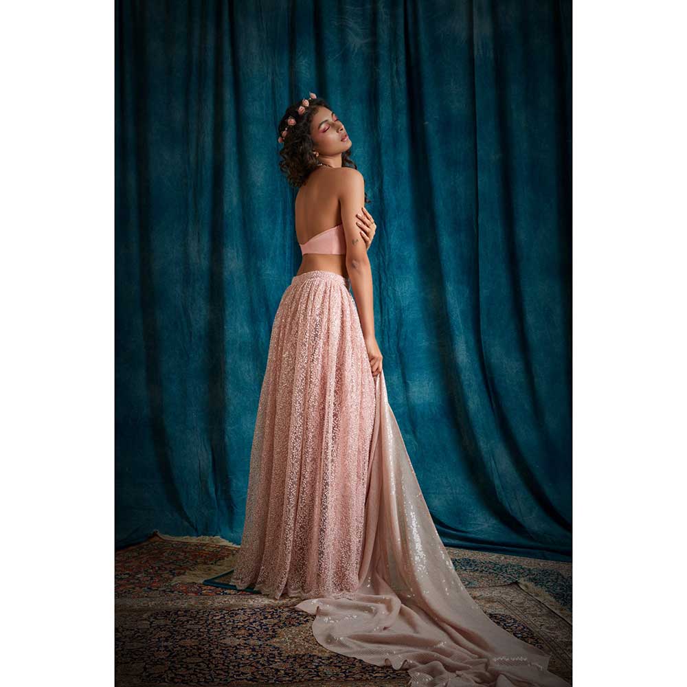 RAISHAA Pink Flower Child Lehenga (Set of 3)