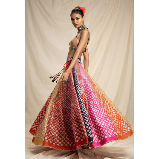 Rajdeep Ranawat Dibbia Leela Multi-Color Bralette Top And Skirt (Set of 2)