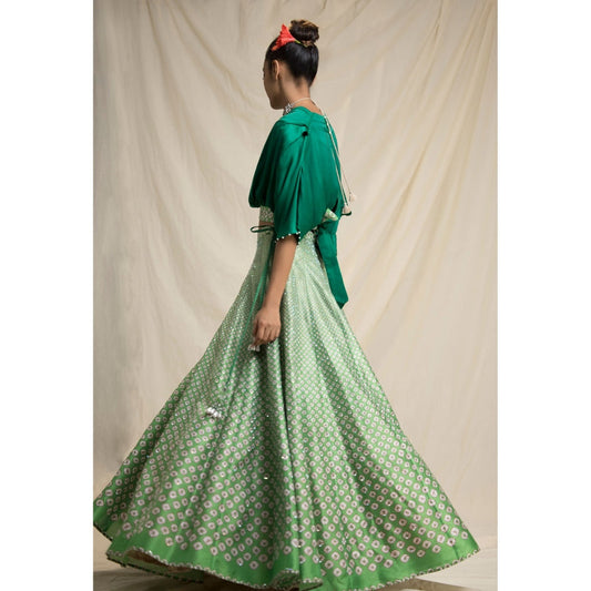 Rajdeep Ranawat Dibbia Leela Multi-Color Top And Lehenga (Set of 2)