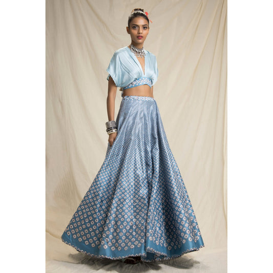 Rajdeep Ranawat Dibbia Leela Blue Top And Lehenga (Set of 2)