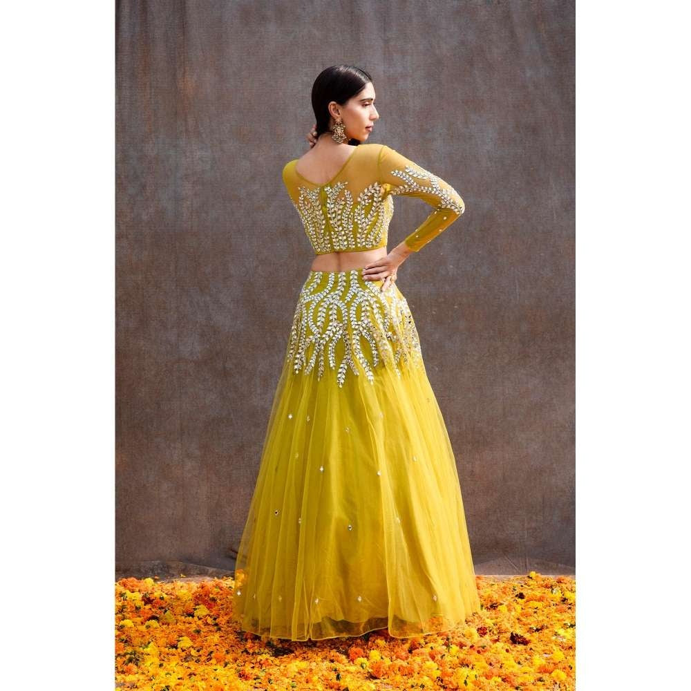 Silky Bindra Illusion Blouse Lehenga (Set of 3)