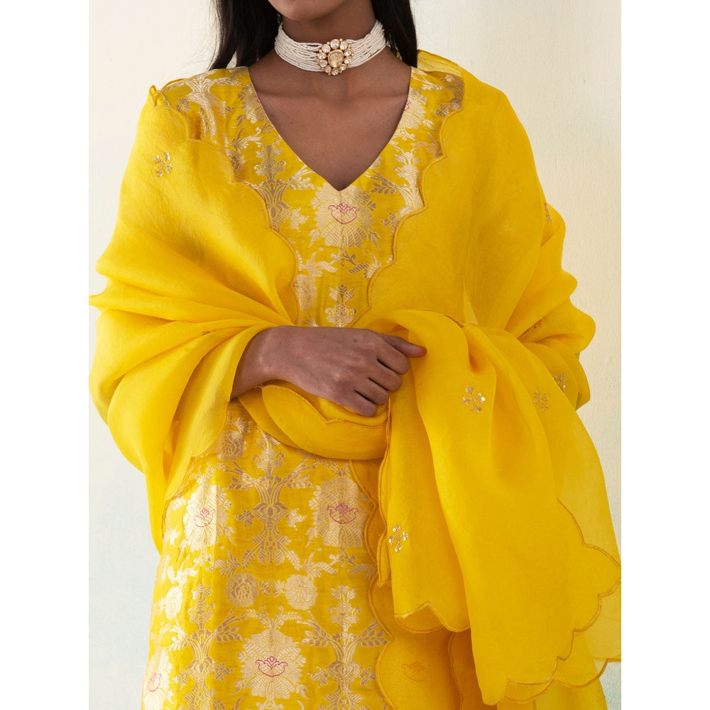 WeaverStory Hazel Yellow Jangla Banarasi Katan Silk Kurta with Gharara and Dupatta (Set of 3)