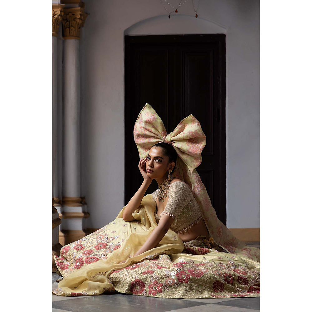 Aangan by Parul Beige Radiant Majesty Lehenga with Blouse and Dupatta (Set of 3)