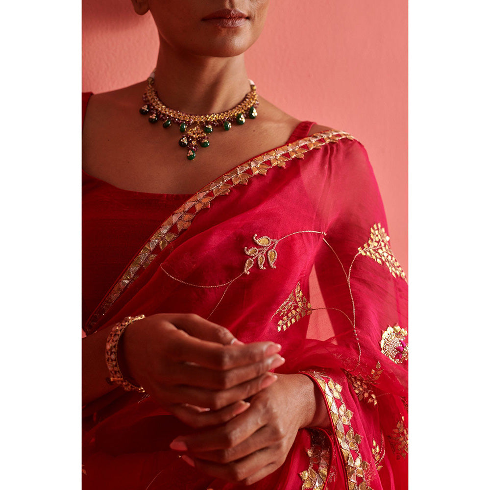 Aarti Sethia Studio Red and Pink Saree with Stitched Blouse and Petticoat