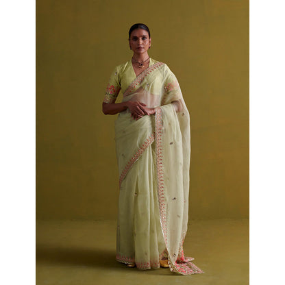 Aarti Sethia Studio Sage Green Saree with Stitched Blouse and Petticoat