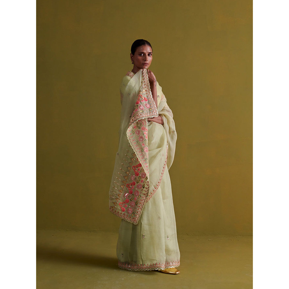 Aarti Sethia Studio Sage Green Saree with Stitched Blouse and Petticoat