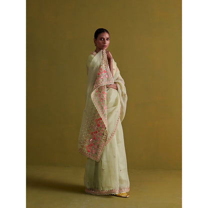 Aarti Sethia Studio Sage Green Saree with Stitched Blouse and Petticoat