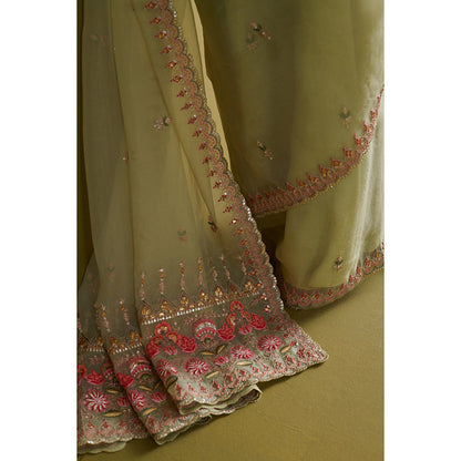 Aarti Sethia Studio Sage Green Saree with Stitched Blouse and Petticoat