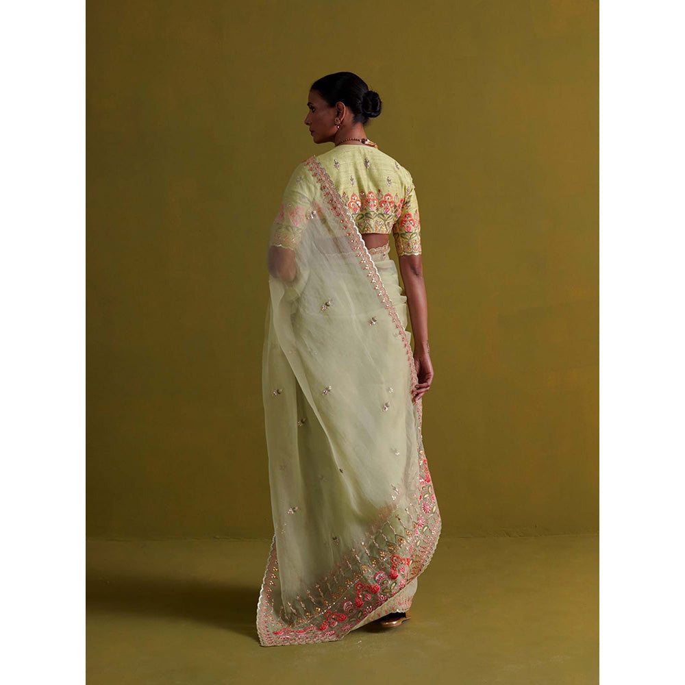 Aarti Sethia Studio Sage Green Saree with Stitched Blouse and Petticoat