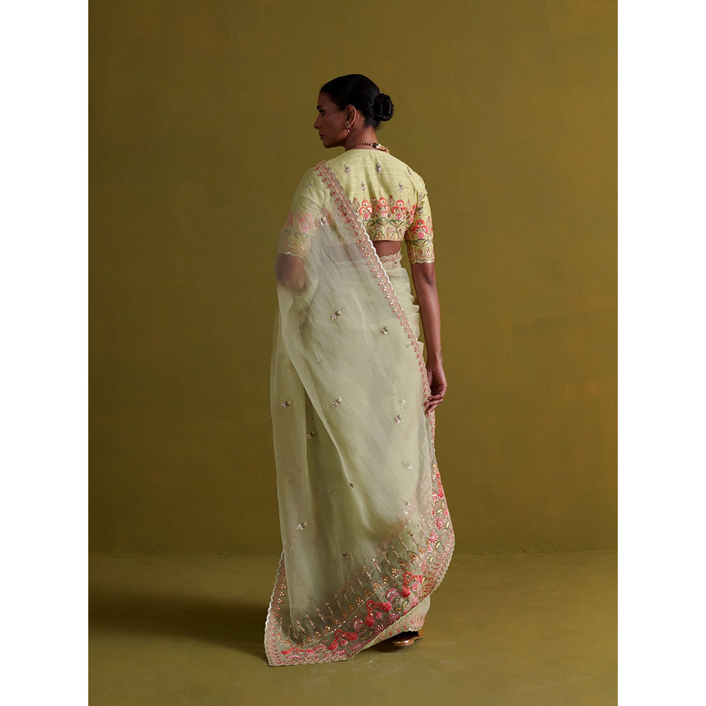 Aarti Sethia Studio Sage Green Saree with Stitched Blouse and Petticoat