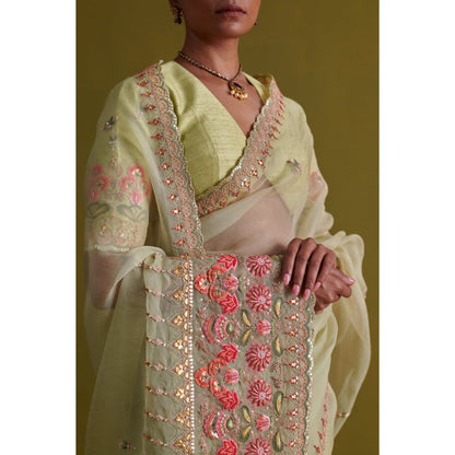 Aarti Sethia Studio Sage Green Saree with Stitched Blouse and Petticoat