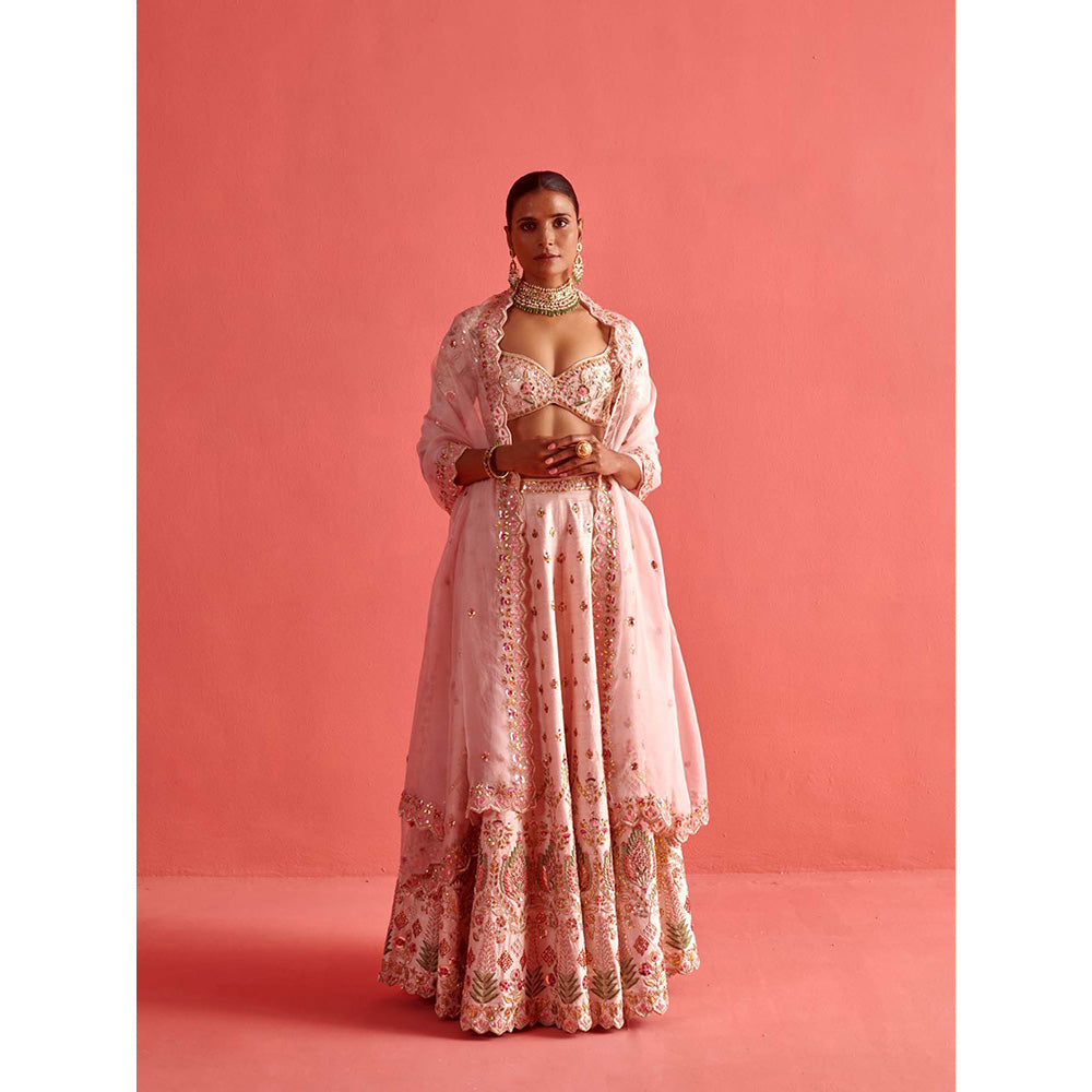 Aarti Sethia Studio Powdered Pink Lehenga with Blouse and Dupatta (Set of 3)