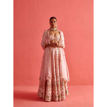 Aarti Sethia Studio Powdered Pink Lehenga with Blouse and Dupatta (Set of 3)