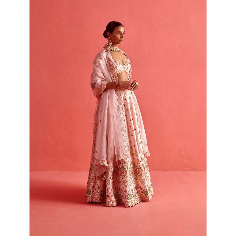 Aarti Sethia Studio Powdered Pink Lehenga with Blouse and Dupatta (Set of 3)